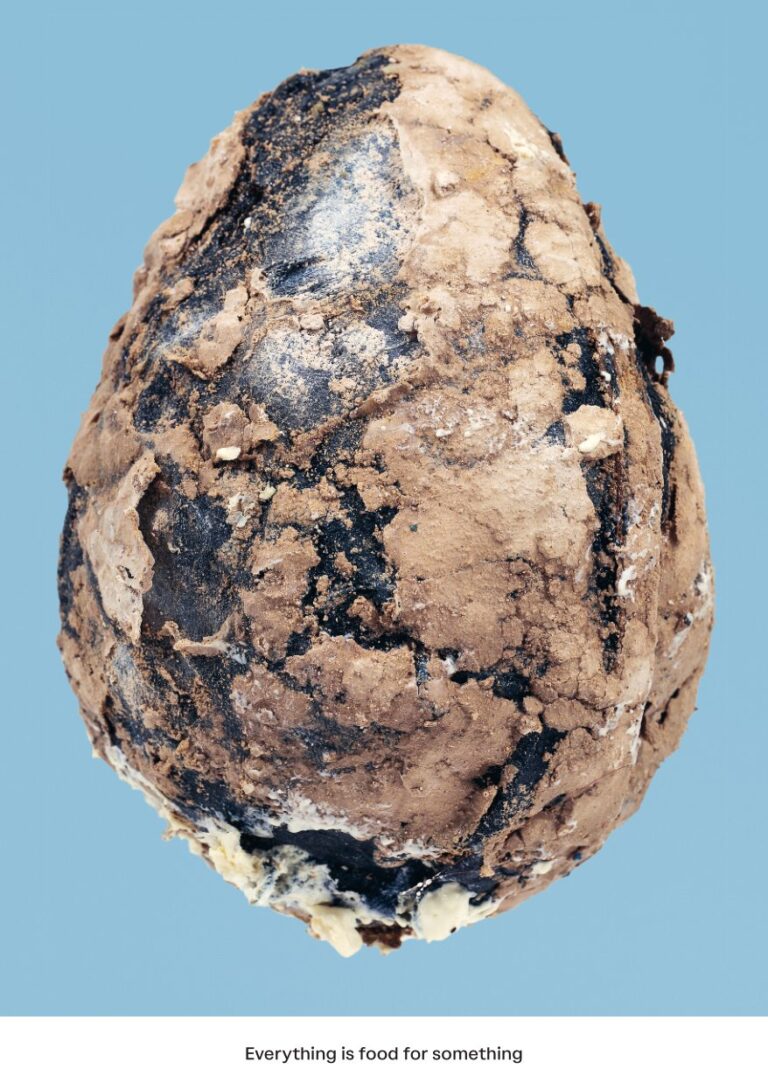 190523_CdA_Wirz_Cover