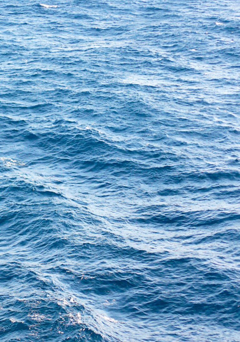 P35740_Tallone-min (glissés)