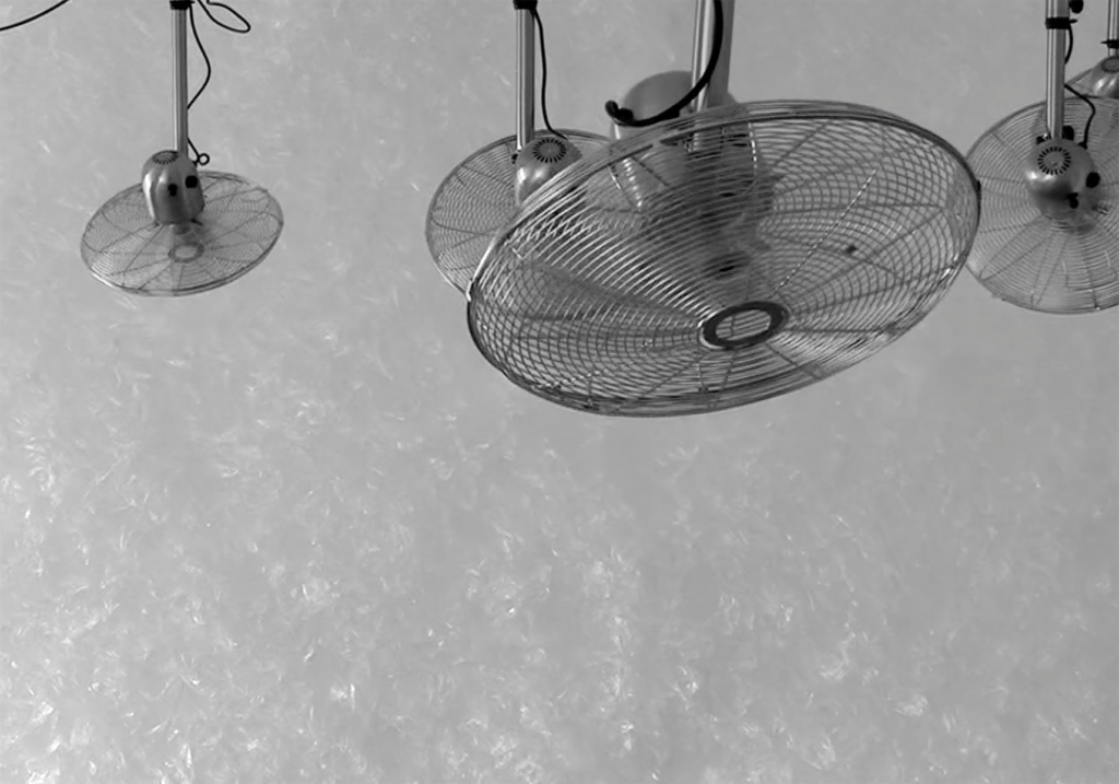 Capture d’écran 2025-01-12 à 08.58.22