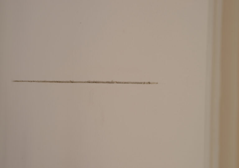 DSC_5191