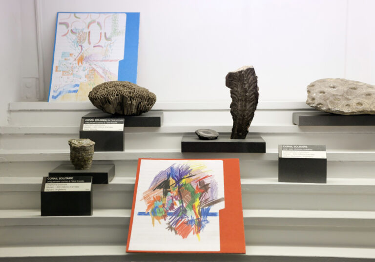 Raphaël Julliard , Palais de Rumine, URBAINES 2011