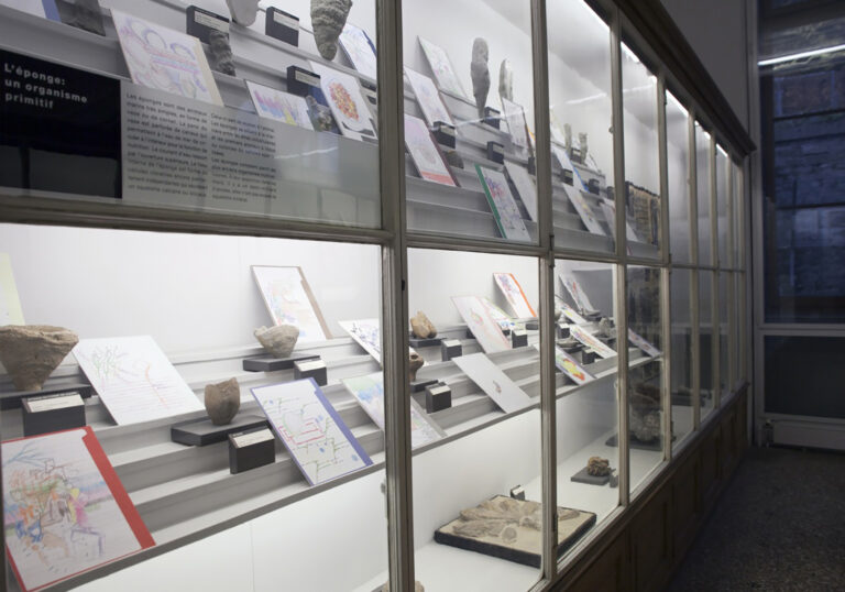 Raphaël Julliard , Palais de Rumine, URBAINES 2011